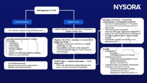 Disseminated intravascular coagulation (DIC), anemia, normothermia, coagulation, fibrinogen, hemoglobin and platelets, PT/APTT ratio, fibrinogen, FFP, cryoprecipitate Phrothrombin