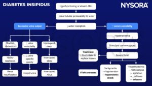 diabetes insipidus, antidiuretic hormone, vasopressin, ADH, osmolality, polyuria, urine, hydronephrosis, hypernatremia, polydipsia, tachycardia, hypovolemic shock, seizures