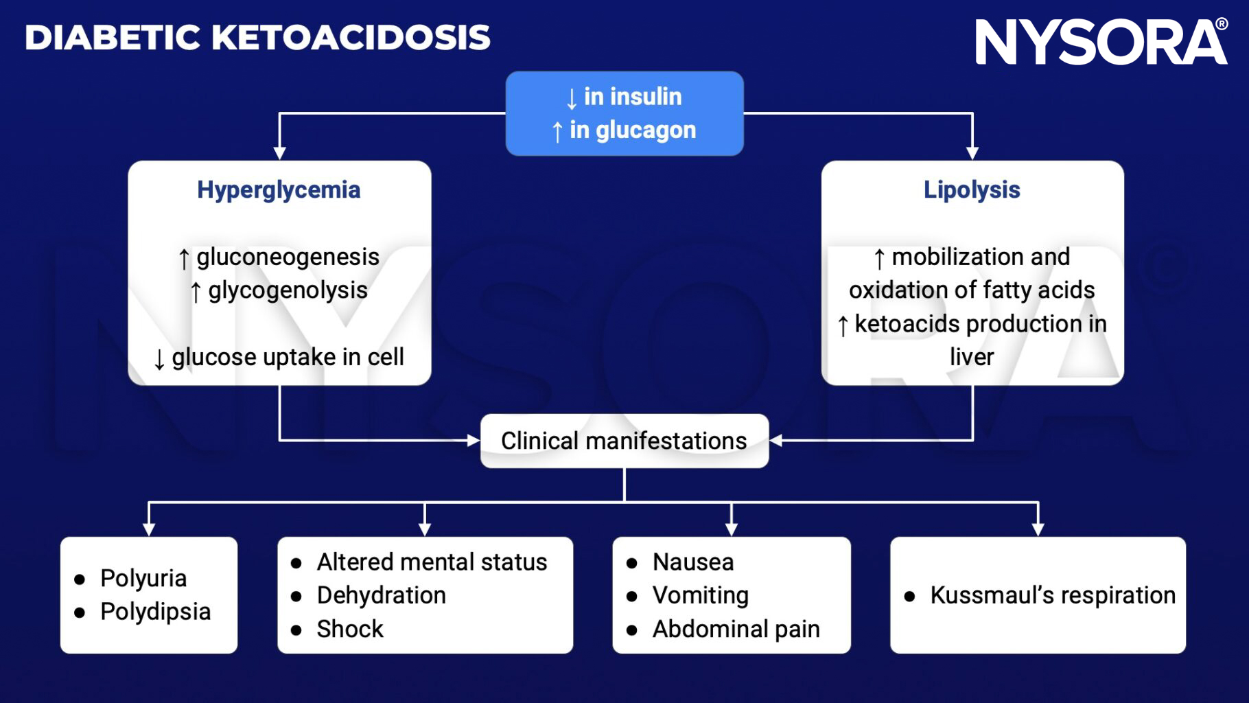 diabetic ketoacidosis, DKA, insulin, glucagon, hyperglycemia, lipolysis, gluconeogenesis, glycogenolysis, ketoacids, ketones, polyuria, polydipsia, dehydration, shock, nausea, vomiting, abdominal pain, Kussmaul's respiration