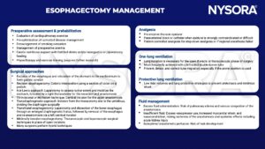 esophagectomy, cardiopulmonary exercise, smoking, anemia, nutritional support, fortified drinks, nasogastric, jejunostomy, esophagus, madiastinum, gastric conduit, colonic interposition, ivor lewis, laparotomy, thoracotomy, anastomosis, transdiaphragmatic, umbilicus, transhiatal, thoracic epidural, paravertebral block, catheter, patient-controlled analgesia, one-lung ventilation, double-lumen tube, tube migration, low tidal volumes, lung protective ventilation, fluid, edema, congestion, vasopressor, myocardial strain, vasoconstriction, ischemia, acute kidney injury, leak