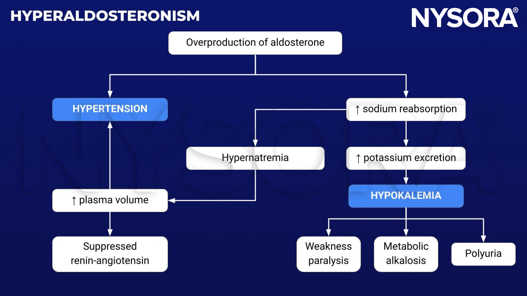 hyperaldosteronism, Conn's syndrome, aldosterone, hypertension, hypernatremia, hypokalemia, metabolic alkalosis, polyuria