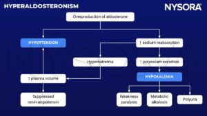 hyperaldosteronism, Conn's syndrome, aldosterone, hypertension, hypernatremia, hypokalemia, metabolic alkalosis, polyuria