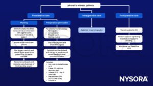 Jehovah's witness patients, hemoglobin, anticoagulant and antiplatelet, iron, folate, vitamin B12, rEPO, vitamin K, ICU