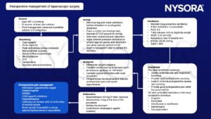 Laparoscopic surgery, IAP, lung-protective ventilation, antiemetics, postoperative pain management