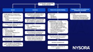 Perioperative management of liver resection, CVP, FFP, hepatotoxins, tranexamic acid, N-acteylcysteine, reverse Trendelenburg, normothermia