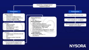 Myasthenia gravis, myasthenic crises, anticholinesterase agents, immunoglobuline, glucocorticoids, plasma exchange