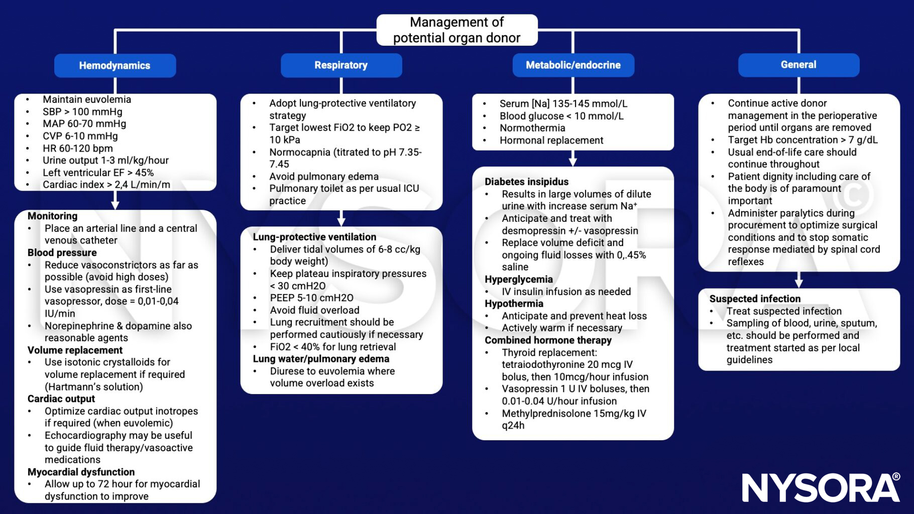 organ donation, SBP, MAP, CVP, HR, urine output, EF, cardiac index, lung-protective ventilatory strategy, fO2, edema, tidal volume, plateau inspiratory pressures, PEEP, FiO2, blood glucose, normothermia, diabetes insipidus, vasopressin, paralytics