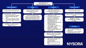 organophosphates toxicity, personal protective equipment, bronchospasm, seizures, bronchorrhea, succinylcholine, atropine, acetylcholine, pradioxime, 2-PAM, AChE, benzodiazepines