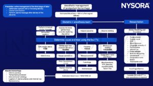 Postpartum hemorrhage, oxytocin, cord traction, uterine massage, placenta, estimated blood loss, vaginal delivery, uterus, uterotonica, lacerations, hematoma, currettage, blood transfusion, methotrexate, FFP, platelets, cryoprecipitate, factor VIIa, uterine packing, ligation, tamponade procedure, airway, breathing, circulation, RSI, ETT