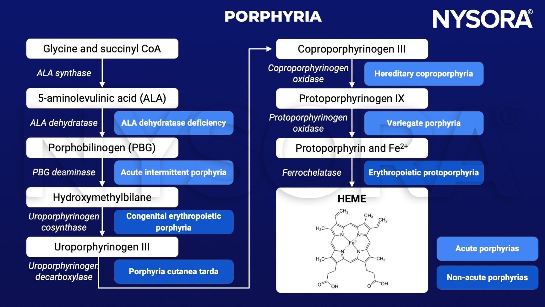 Does Prince William Have Porphyria? Separating Fact From Rumor
