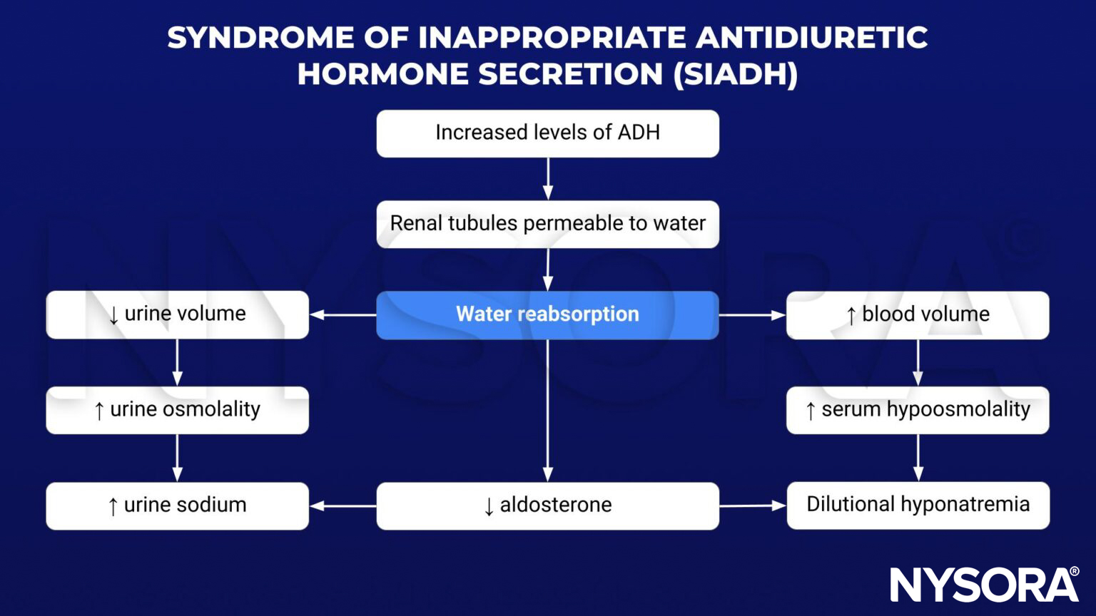 syndrome of inappropriate antidiuretic hormone secretion, SIADH, antidiuretic hormone, ADH, vasopressin, water retention, water reabsorption, hyponatremia, aldosterone