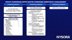 Wolff-parkinson-white, wpw, palpitations, syncope, dyspnea, angina, halothane, megeridine, pancuronium, atracurium, succinylcholine, ketamine, neostigmine, glycopyrolate, atropine, ephedrine, epinephrine, isoproterenol, metoclopramide, defibrillator, orthodromic antidromic atrioventricular tachycardia, carotid massage, valsalva, adenosine, verapamil, procainamide, amiodarone, cardioversion, resuscitation