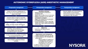 autonomic dysreflexia, adr, triggers, catheter, bowels, skil ulceration, cervical spine injury, pharmacotherapy, spinal, epidural, brachial plexus block, IV, volatile, arterial line, hypertensive event, nitroprusside, nitroglycerin, hydrazaline, phentolamine, 