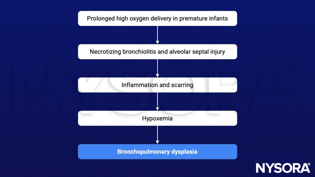 bronchopulmonary dysplasia, BPD, oxygen, premature, necrotizing bronchiolitis, alveolar septal injury, inflammation, scarring, hypoxemia
