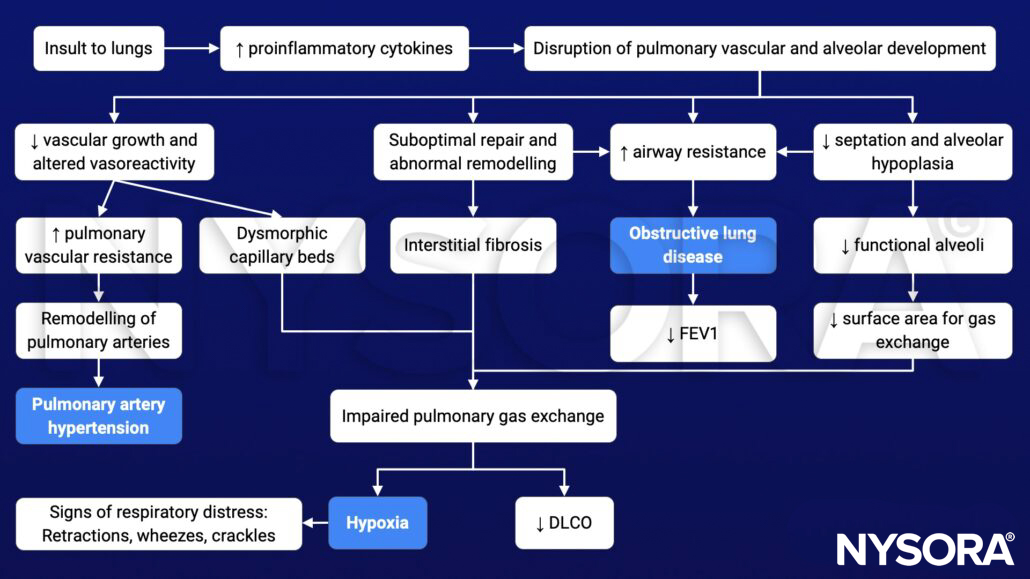 bronchopulmonary dysplasia, BPD, pathophysiology, lungs, proinflammatory cytokines, pulmonary vascular resistance, remodelling, pulmonary hypertension, hypoxia, retractions, wheezing, crackles, respiratory distress, interstitial fibrosis, obstructive lung disease