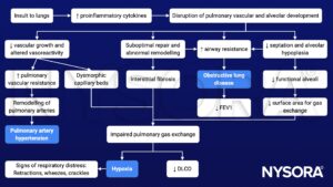 bronchopulmonary dysplasia, BPD, pathophysiology, lungs, proinflammatory cytokines, pulmonary vascular resistance, remodelling, pulmonary hypertension, hypoxia, retractions, wheezing, crackles, respiratory distress, interstitial fibrosis, obstructive lung disease