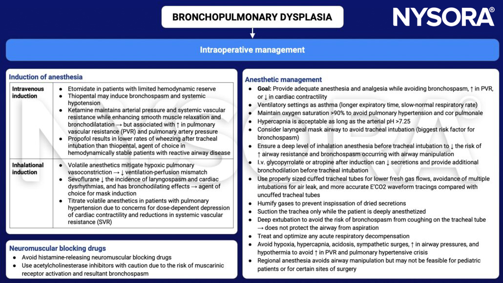 bronchopulmonary dysplasia, BPD, intraoperative, management, induction, neuromuscular blocking drugs, anesthetic management, intravenous induction, etomidate, thiopental, ketamine, propofol, inhalational induction, sevoflurane, acetylcholinesterase inhibitor, bronchospasm, pulmonary vascular resistance, cardiac contractility, asthma, oxygen, pulmonary hypertension, cor pulmonale, laryngeal mask airway, tracheal intubation, deep anesthesia, glycopyrrolate, atropine, cuffed tracheal tubes, regional anesthesia