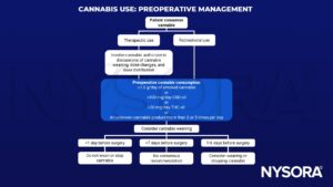 Cannabins use, therapeutic use, recreational use, CBD oil, THC oil