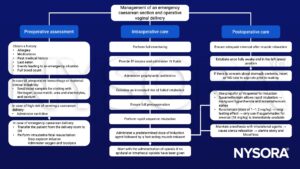 Emergency caesarean section and operative vaginal delivery, ranitidine, oxytocin, oxygen, tocolysis, antibiotics, IV fluids, preoxygenation, rapid sequence intubation propofol, thiopental, rocuronium