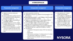 hydrocephalus, management, preoperative, intraoperative, postoperative, intracranial pressure, headache, vomiting, consciousness, dehydration, electrolyte imbalance, full stomach, rapid sequence induction, supine, lateral, three-point pin system, opioids, hypotension, bradycardia, pneumothorax, hemothorax, embolism, paracetamol, NSAIDs, morphine, intracranial hematoma