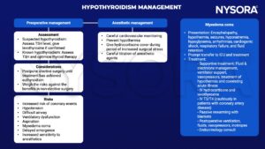 hypothyroidism, tsh, levothyroxine, euthyroidism, hypotension, airway, ventilatory dysfunction, aspiration, myxedema coma, delayed emergence, anesthetic, cardiovascular monitoring, hypothermia, hydrocortisone, encephalopathy, seizures, hyponatremia, hypoglycemia, arrhythmia, cardiogenic shock, respiratory failure, fluid retention, ICU, electrolyte, ventilator, vasopressors, T3, T4, inotropes, endocrinology