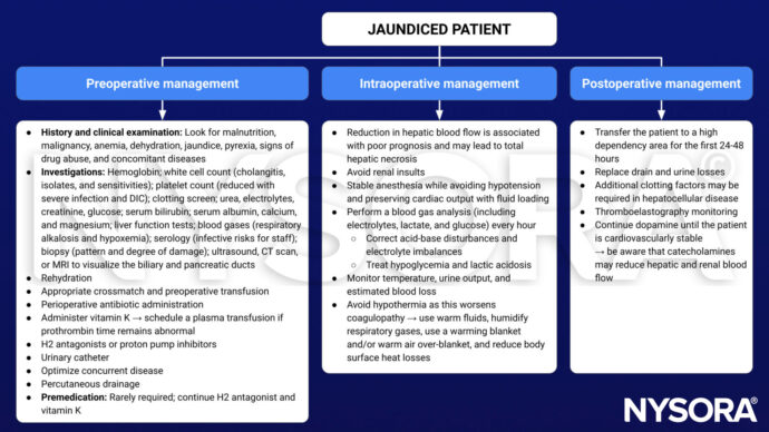 Jaundice Management Racgp Jaundice - NYSORA