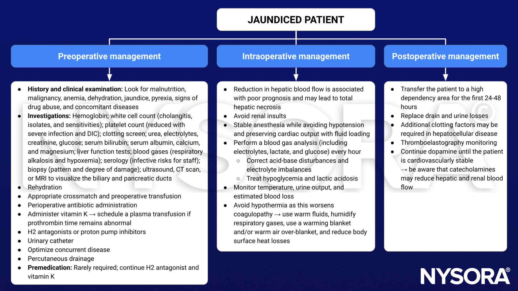 jaundice, jaundiced patient, preoperative, intraoperative, postoperative, management, rehydration, antibiotics, vitamin K, H2 antagonists, proton pump inhibitors, urinary catheter, anesthesia, blood gas analysis, electrolytes, lactate, glucose, lactic acidosis, hypoglycemia, blood loss, urine output, temperature, hypothermia, coagulopathy, thromboelastography, dopamine