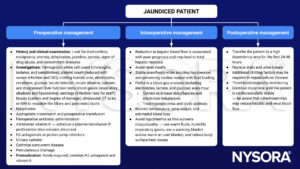 jaundice, jaundiced patient, preoperative, intraoperative, postoperative, management, rehydration, antibiotics, vitamin K, H2 antagonists, proton pump inhibitors, urinary catheter, anesthesia, blood gas analysis, electrolytes, lactate, glucose, lactic acidosis, hypoglycemia, blood loss, urine output, temperature, hypothermia, coagulopathy, thromboelastography, dopamine