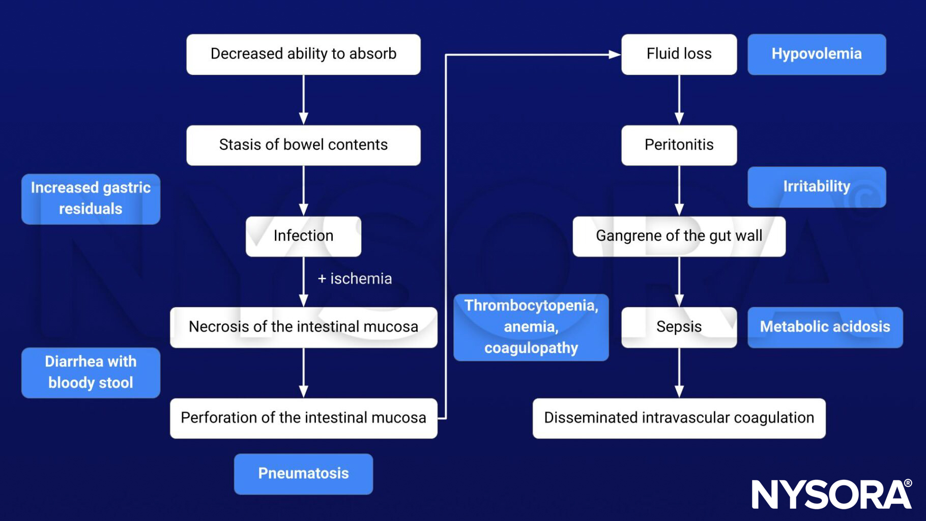necrotizing enterocolitis, NEC, infection, necrosis, perforation, pneumatosis, diarrhea, bloody stool, increased gastric residuals, hypovolemia, fluid loss, peritonitis, irritability, gangrene gut wall, intestinal mucosa, sepsis, metabolic acidosis, thrombocytopenia, anemia, coagulopathy, disseminated intravascular coagulation, DIC