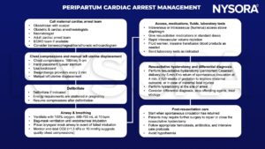 peripartum cardiac arrest, obstetrician, neonatologist, ECMO, transesophageal, transthoracic echocardiography, chest compressions, left uterine displacement, defibrillation, ventilate, oxygen, bag-mask, endotracheal intubation, laryngeal mask, end-tidal CO2, intraosseous, humerus, intravenous, diaphragm, volume repletion, transfusion, resuscitative hysterotomy, cesarean delivery, circulation, hemostasis, antibiotics, intensive care, hypothermia
