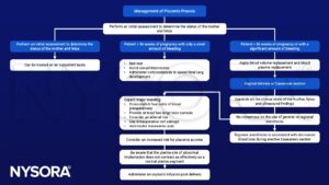 Placenta praevia, vagina delivery, caesarean section, tranexamic acid, placenta accreta, oxytocin