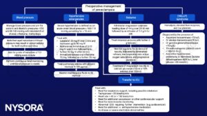 pre-operative management of pre-eclampsia, labetalol, nifedipine, methyldopa, hypertension, hydralazine, gylcerol trinitrate, magnesium sulphate, calcium gluconate, hemolysis, aspartate transaminase, alanine transaminase, gamma-glutamyltransferase, thrombocytopenia, proteinuria