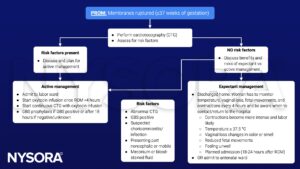 prelabor rupture of membranes, PROM, management, cardiotocography, risk, CTG, active management, expectant management, delivery, oxytocin, GBS prophylaxis, antibiotics, infection, chorioamnionitis, meconium, temperature, vaginal loss, fetal movements, contractions