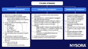 pyloric stenosis, preoperative, intraoperative, postoperative, management, normal saline, electrolyte, acid/base, nasogastric tube, orogastric tube, monitoring, aspiration risk, empty stomach, rapid sequence induction, inhalational induction, oxygen, sevoflurane, nondepolarizing relaxant, controlled ventilation, awake extubation, wound infiltration, bupivacaine, paracetamol, apnea