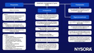 Spina bifida, hydrocephalus, latex allergy, tethered spinal cord, scoliosis, VP shunt, neural sac, spinal anesthesia