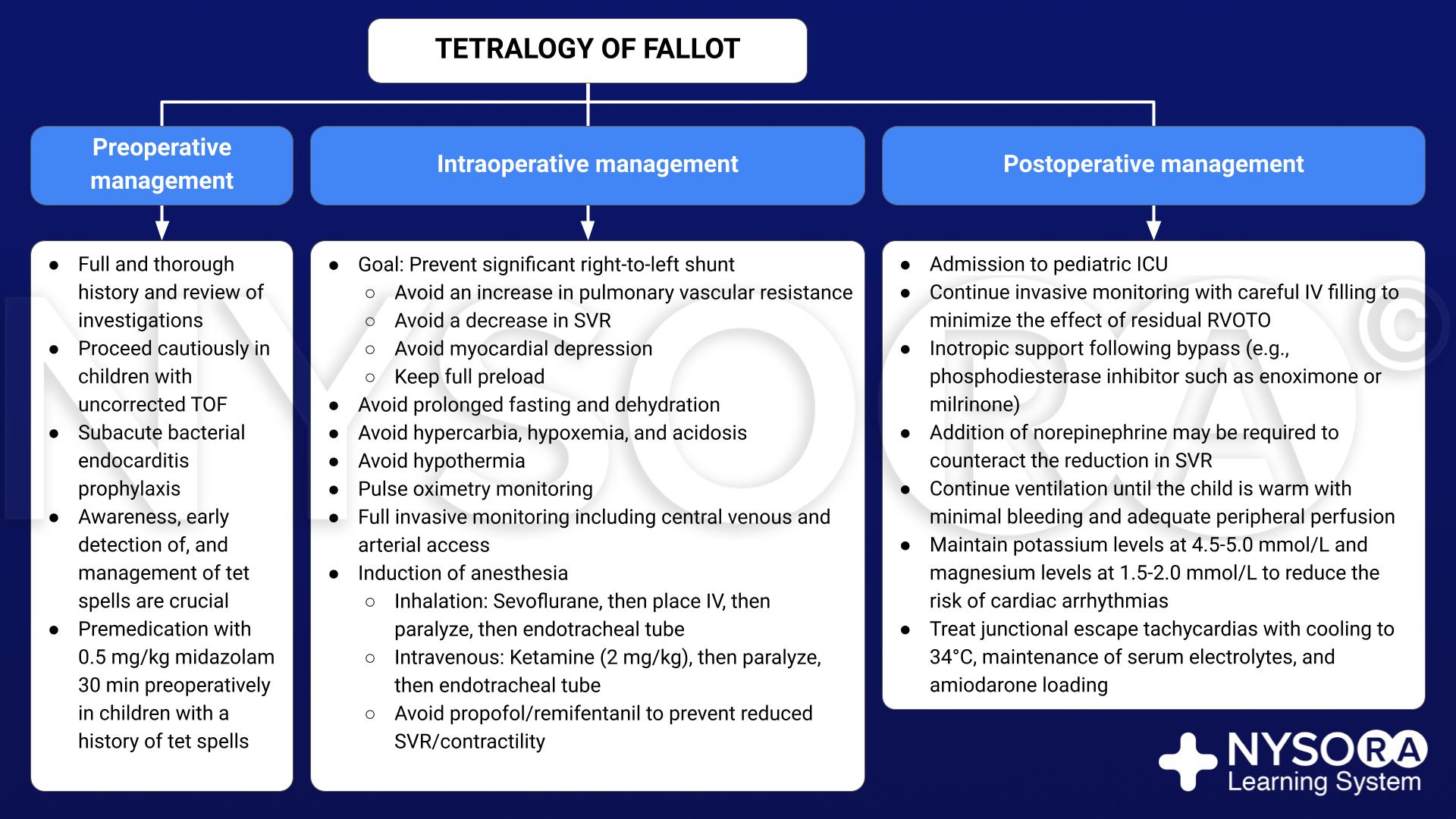 Tetralogy of fallot management nysora nysora