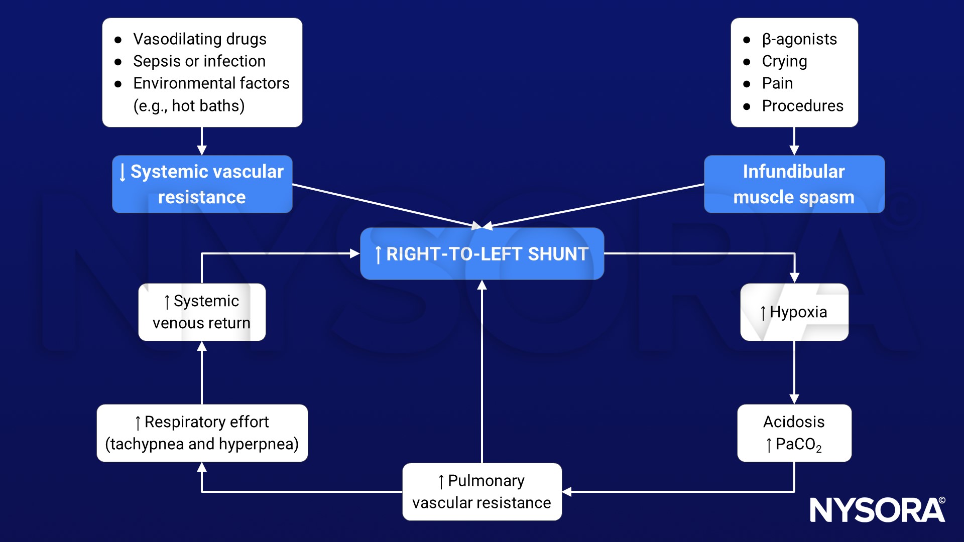 tetralogy of Fallot, TOF, systemic vascular resistance, infundibular muscle spasm, systemic venous return, right-to-left shunt, hypoxia, acidosis, pulmonary vascular resistance, respiratory effort, tachypnea, hyperpnea, sepsis, infection, hot bath, vasodilating drugs, beta-agonists, crying, pain, procedures