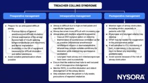 Treacher Collins syndrome, preoperative, intraoperative, postoperative, management, difficult airway, history, examination, mouth opening, premedication, spontaneous ventilation, inhalational anesthesia, remifentanil, dexmedetomidine, laryngeal mask airway, videolaryngoscope, dislodgement, airway obstruction, pharyngeal edema, laryngeal edema, CPAP