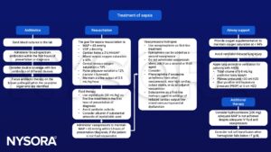 Sepsis, antibiotics, resuscitation, airway support, hydrocortisone, red cell transfusion, oxygen, ARDS, lung-protective ventilation, MAP, CVP, cardiac index, crystalloids, vasopressors, blood cultures