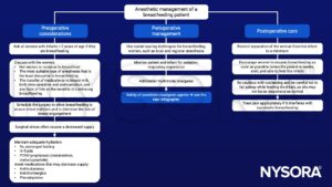 Anesthetic management of a breastfeeding patient, milk, supply, ondansetron, metoclopramide, antihistamines, anticholinergics, phenylephrine, opioid-sparing techniques, sedation