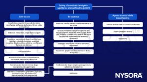 Breastfeeding patient, Anesthetics: propofol, thiopental, etomidate, sevoflurane, isoflurane, desflurane, nitrous oxide, and halothane Sedatives: midazolam, single dose diazepam Analgesics: paracetamol, ibuprofen, diclofenac, naproxen, celecoxib, ketorolac, parecoxib, morphine dihydrocodeine, pethidine, remifentanil,fentanyl and alfentanil Local anesthetics Neuromuscular blockers: suxamethonium, rocuronium, vecuronium, atracurium Neuromuscular blocker reversal drugs: neostigmine and sugammadex Antiemetics: ondansetron, granisetron, cyclizine, prochlorperazine, dexamethasone, metoclopramide, and domperidone Cardiovascular drugs: atropine, glycopyrronium, ephedrine, phenylephrine Antibiotics Ketamine Opioids, morphine, hydromorphone Tramadol Oxycodone Codeine Aspirin Meperidine 