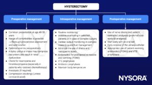 hysterectomy, management, preoperative, intraoperative, postoperative, anemia, renal dysfunction, neutropenia, thrombocytopenia, anxiolysis, compression stockings, cardiac output, fluid, antiemetics, PONV, venous thromboembolism, VTE, antibiotic prophylaxis, nerve blocks, patient-controlled analgesia, anesthesia, urinary catheter, patient warming