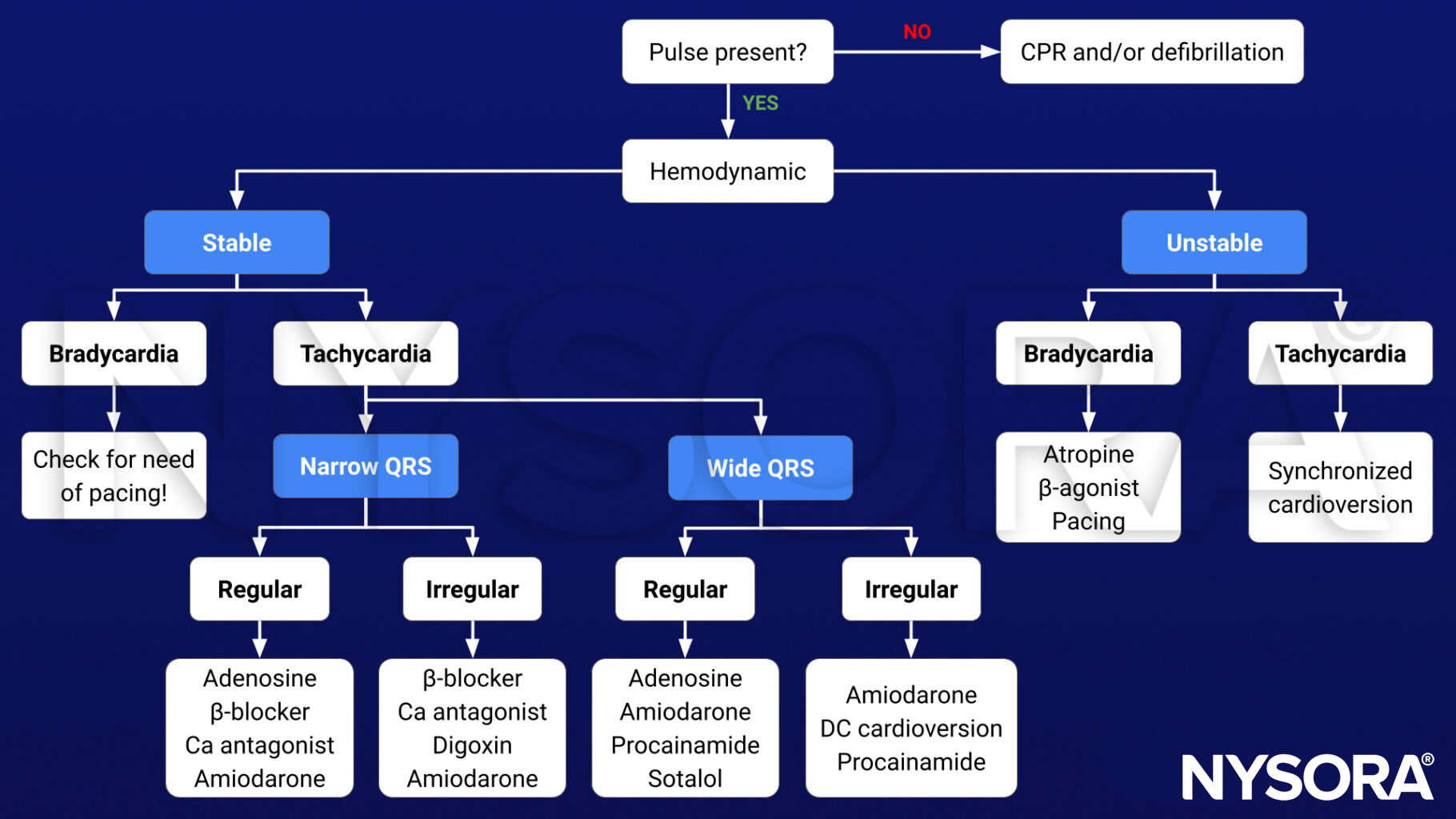 intraoperative arrhythmias, bradycardia, tachycardia, hemodynamic unstable, CPR, defibrillation, cardioversion, narrow QRS, wide QRS, regular, irregular, pacing, atropine, beta-agonist, beta-blockers, calcium antagonist, amiodarone, adenosine, procainamide, sotalol