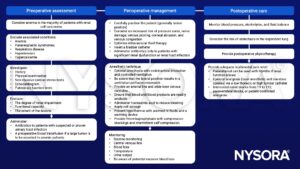 Nephrectomy, renal cell carcinoma, multimodal pain relief, atelectasis