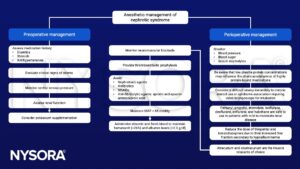 Nephrotic syndrome, edema, central venous pressure, potassium supplementation, thipental, benzodiazepines, atracurium, cisatracurium, thromboembolic prophylaxis, NSAIDs, MAP, albumin, hematocrit