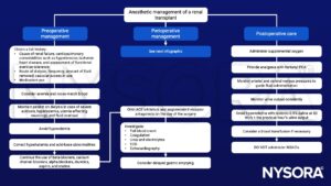 Renal transplant, hyperkalemia, NSAIDs