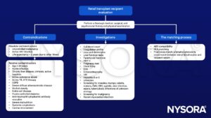 Renal transplant recipient evaluation, ABO compatibility, HLA matching, final cross-match