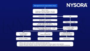 Management of a hypovolemic shock, fluid responsiveness, CO, cardiac output, arterial elastance, SVR, inotrope, inodilator, inoconstrictor, vasoconstrictor