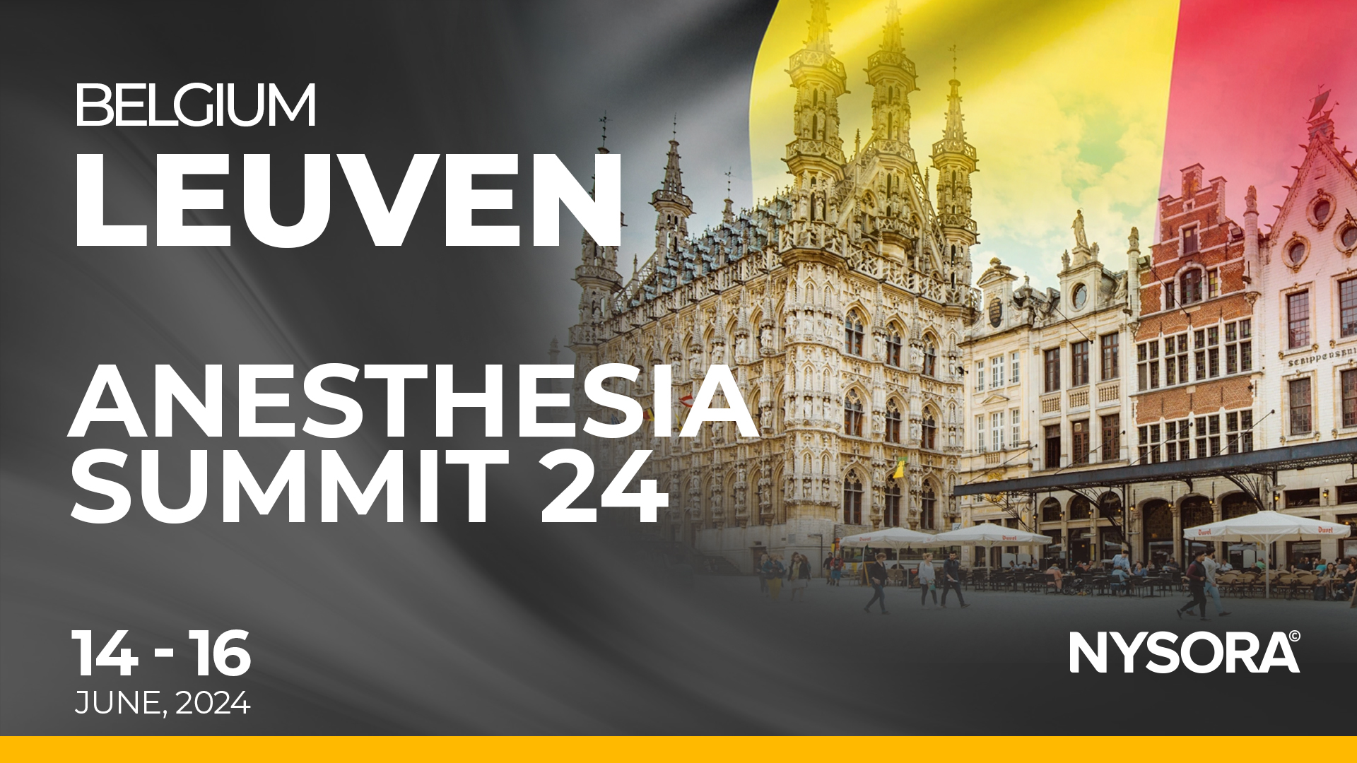 Anesthesia SUMMIT (Leuven, BE) (2024) NYSORA